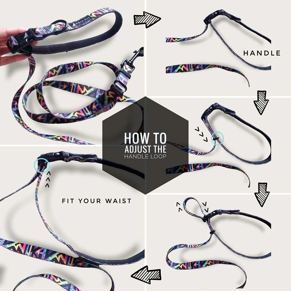 Boss & Olly Convertible Multi-Functional Dog Leash (Aztec Rainbow)