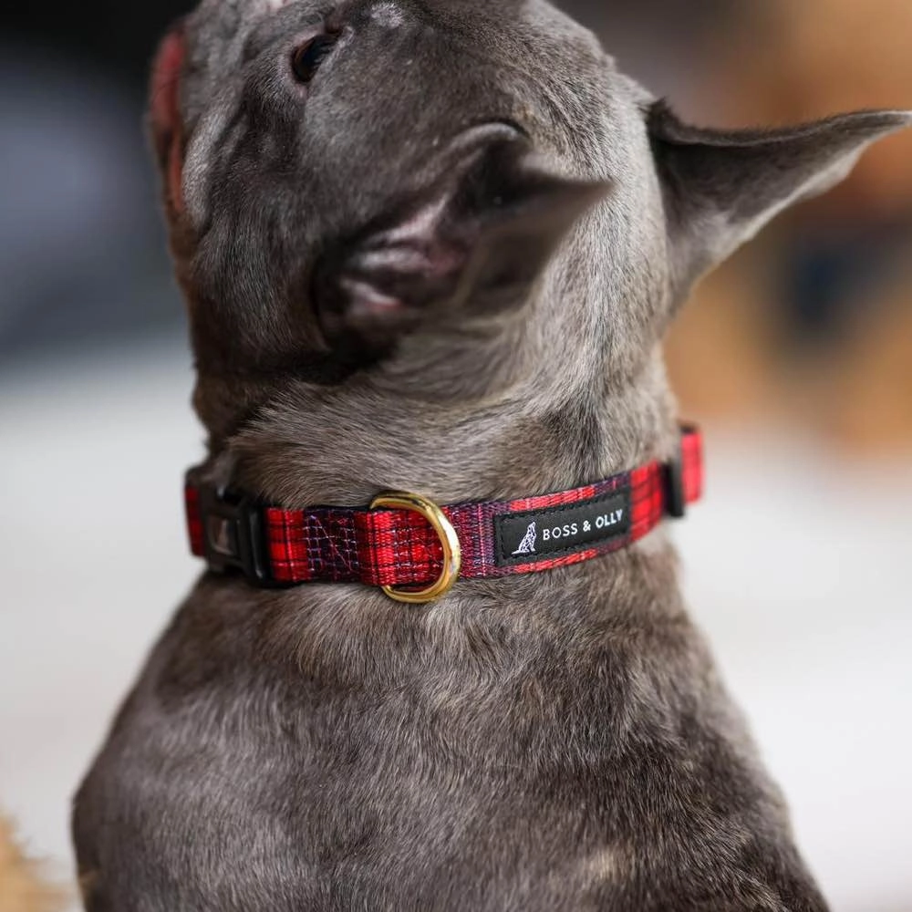 Boss & Olly Dog Collar (Lumberjack Plaids)