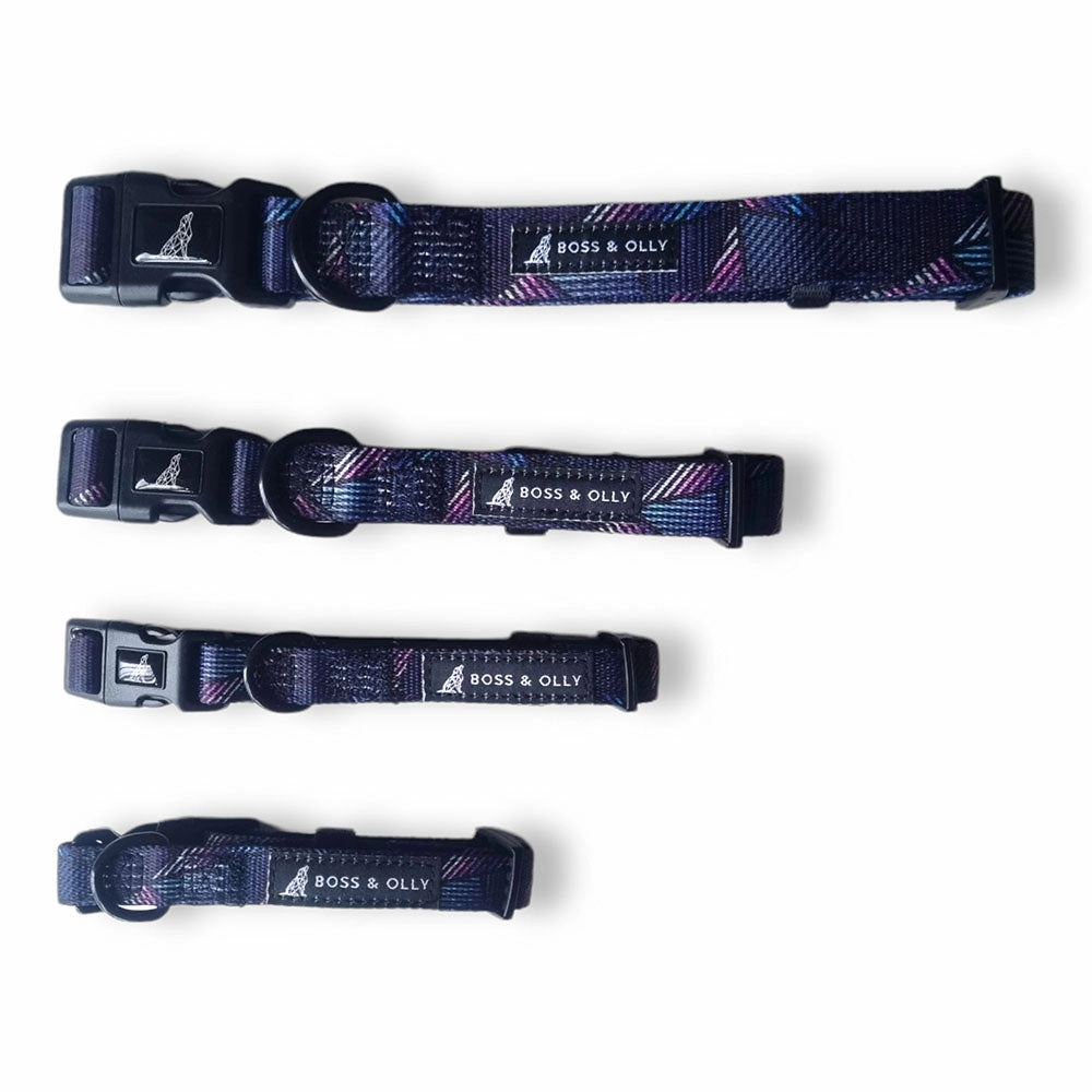 Boss & Olly Dog Collar (Midnight Dreams)