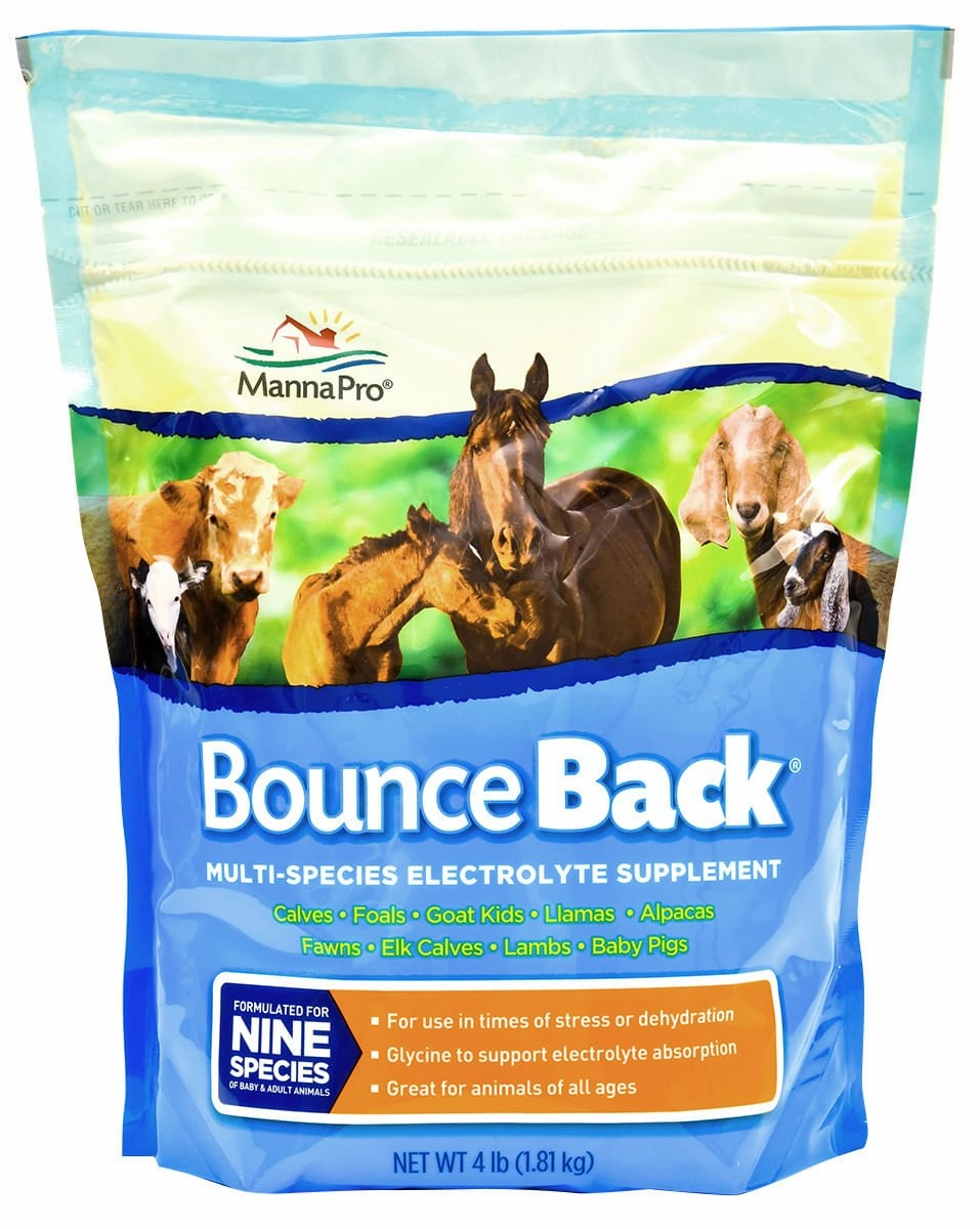 Bounce Back Multi-Species Electrolyte Supplement