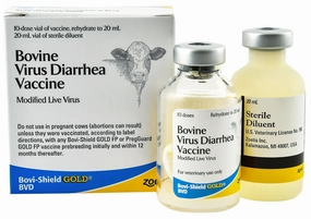 Bovi-Shield Gold BVD Cattle Vaccine