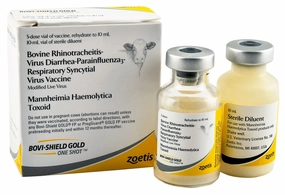 Bovi-Shield Gold One Shot Cattle Vaccine