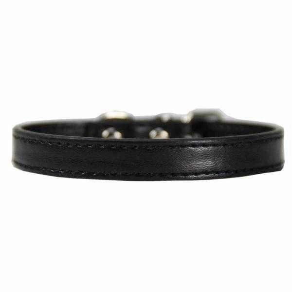 Buckle Dog Collar