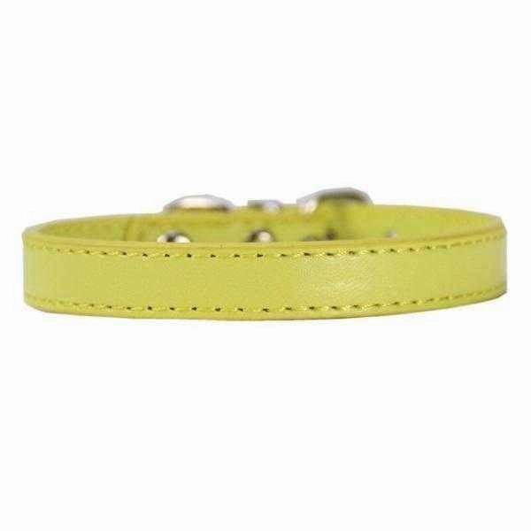 Buckle Dog Collar