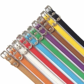 Buckle Dog Collar
