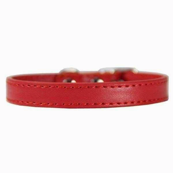 Buckle Dog Collar