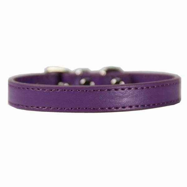 Buckle Dog Collar