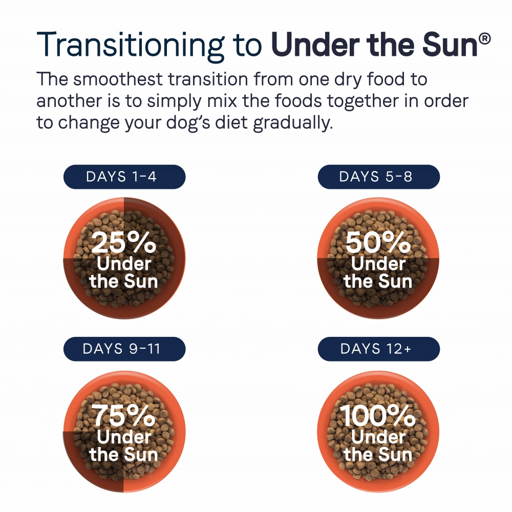 Canidae Under the Sun Grain Free Adult Chicken Recipe Dry Dog Food