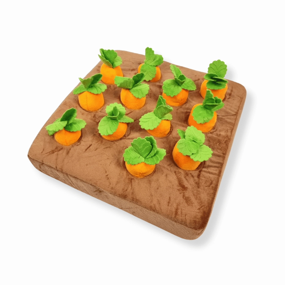 Carrot Patch Nose Work Toy