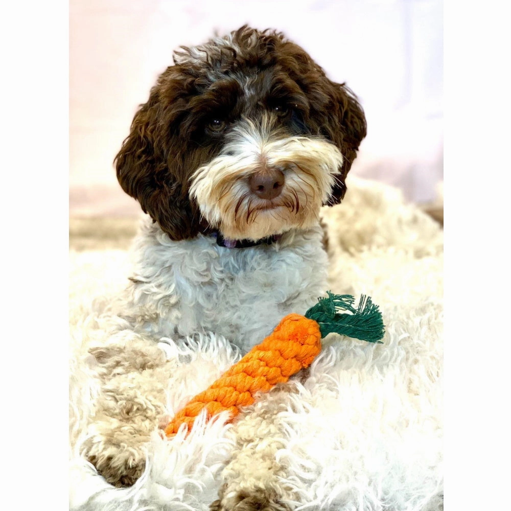 Carrot Rope Dog Toy