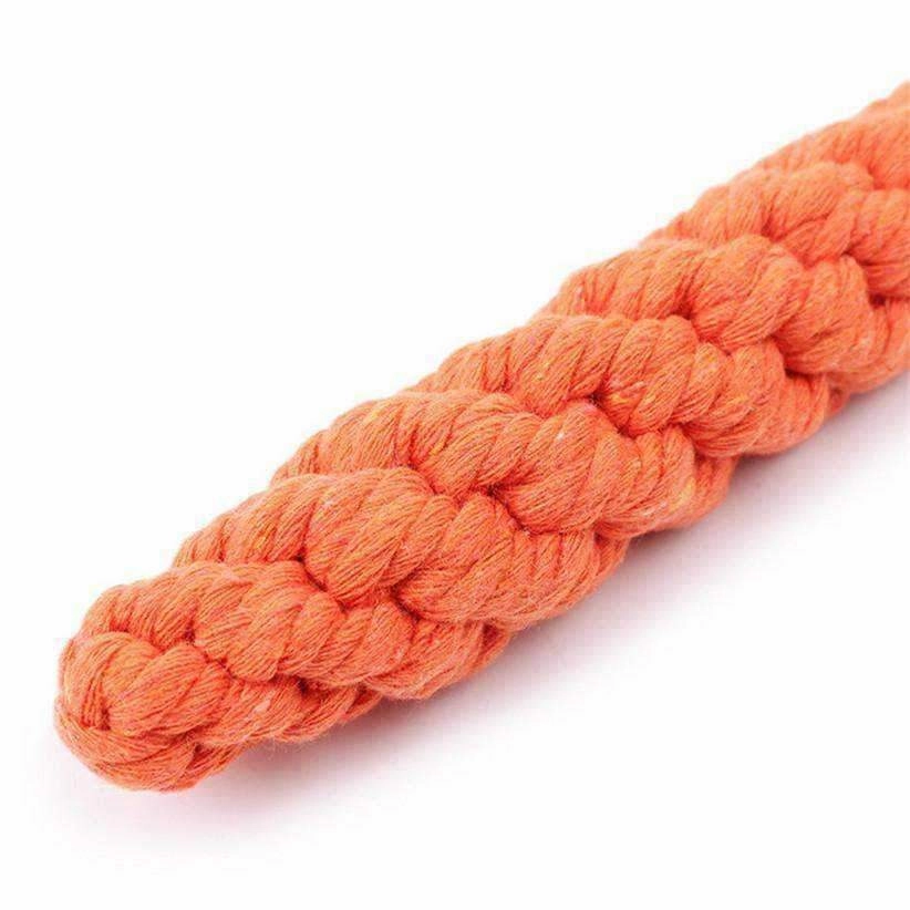 Carrot Rope Dog Toy