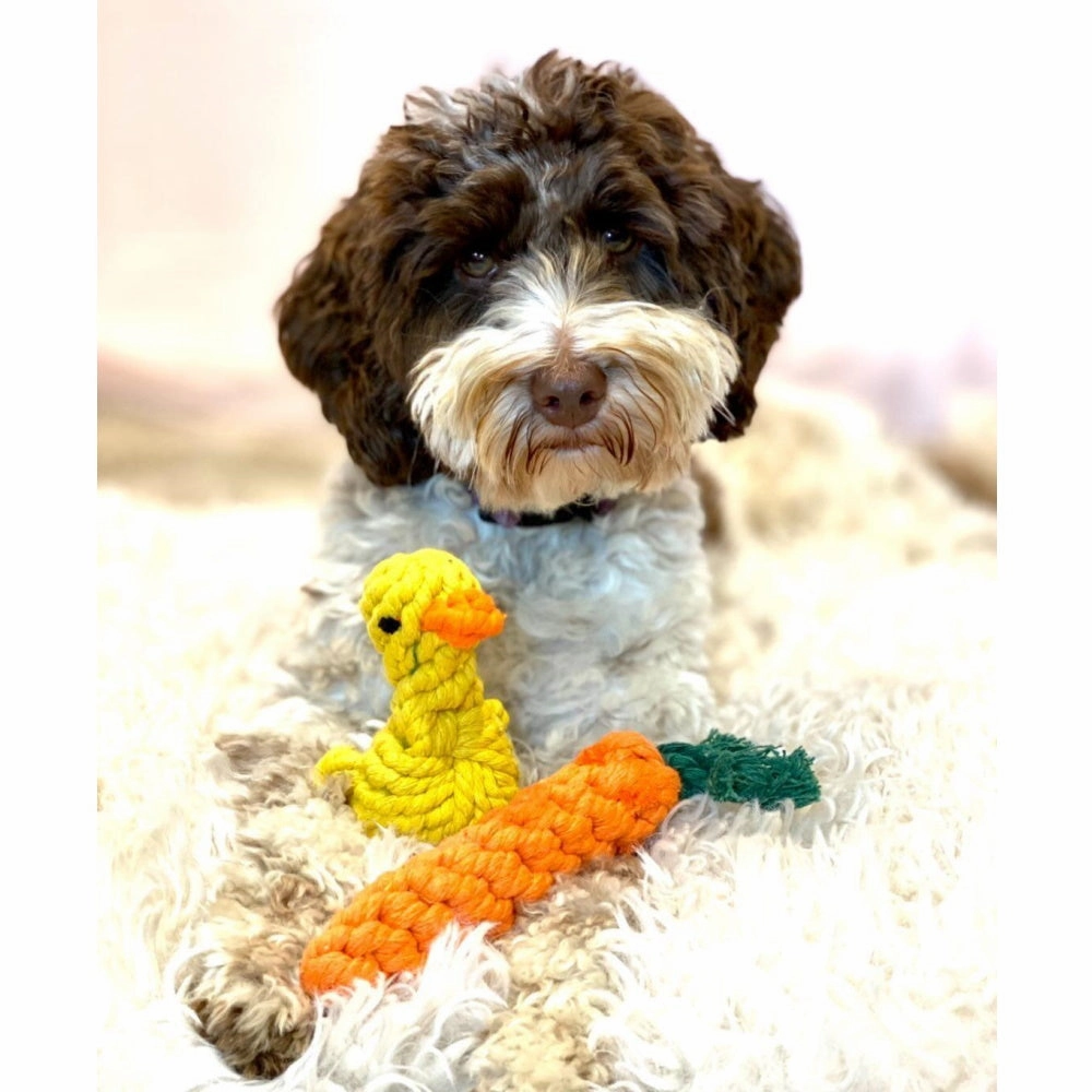 Carrot Rope Dog Toy