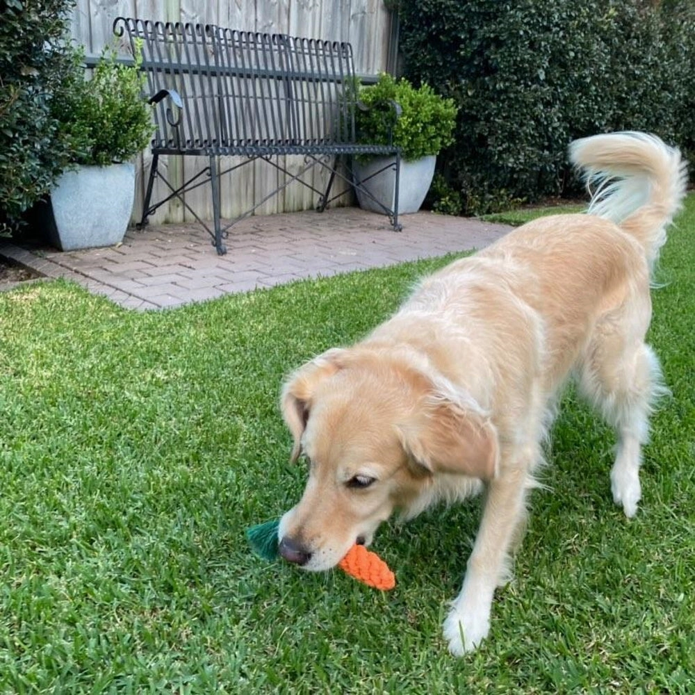 Carrot Rope Dog Toy
