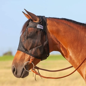 Cashel Quiet Ride Fly Mask without Ears, Black