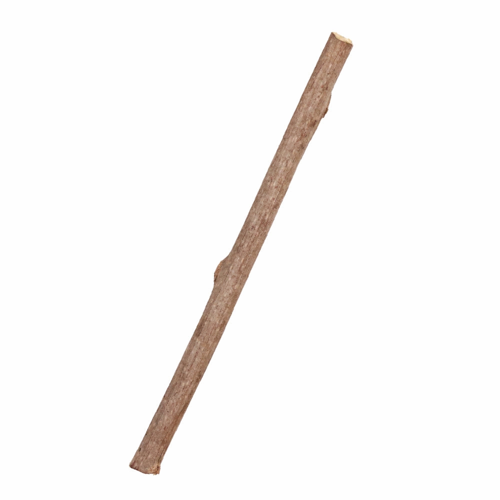 CattyMan Natural Silvervine Branch Sticks Chews With Cat Toy 6ct