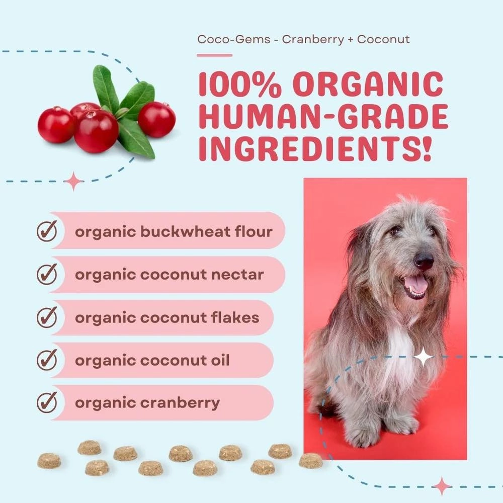 CocoTherapy Coco-Gems Cranberry   Coconut Organic Grain-Free Dog Treats 5oz