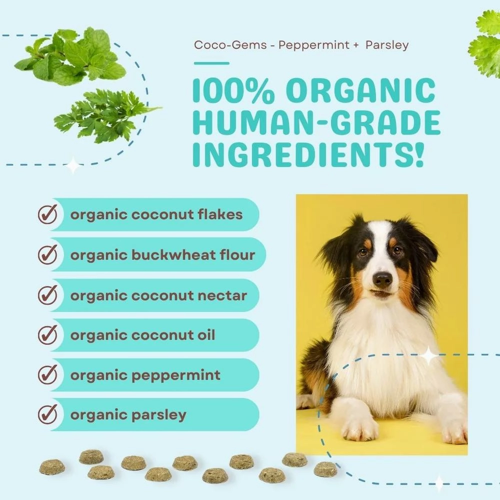 CocoTherapy Coco-Gems Peppermint   Parsley   Coconut Organic Grain-Free Dog Treats 5oz