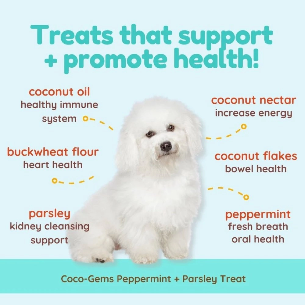 CocoTherapy Coco-Gems Peppermint   Parsley   Coconut Organic Grain-Free Dog Treats 5oz