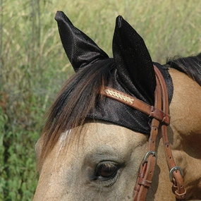 Comfort Ears Horse