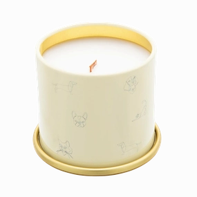 Companion Candles 3oz Mini Candle - Nostalgia (Spicy Amber/Sweet Floral)