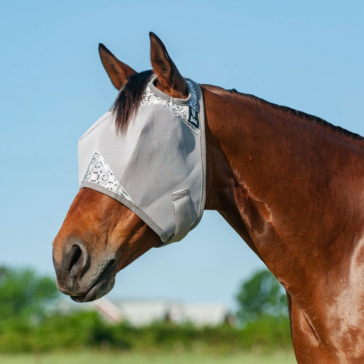 Crusader Fly Mask