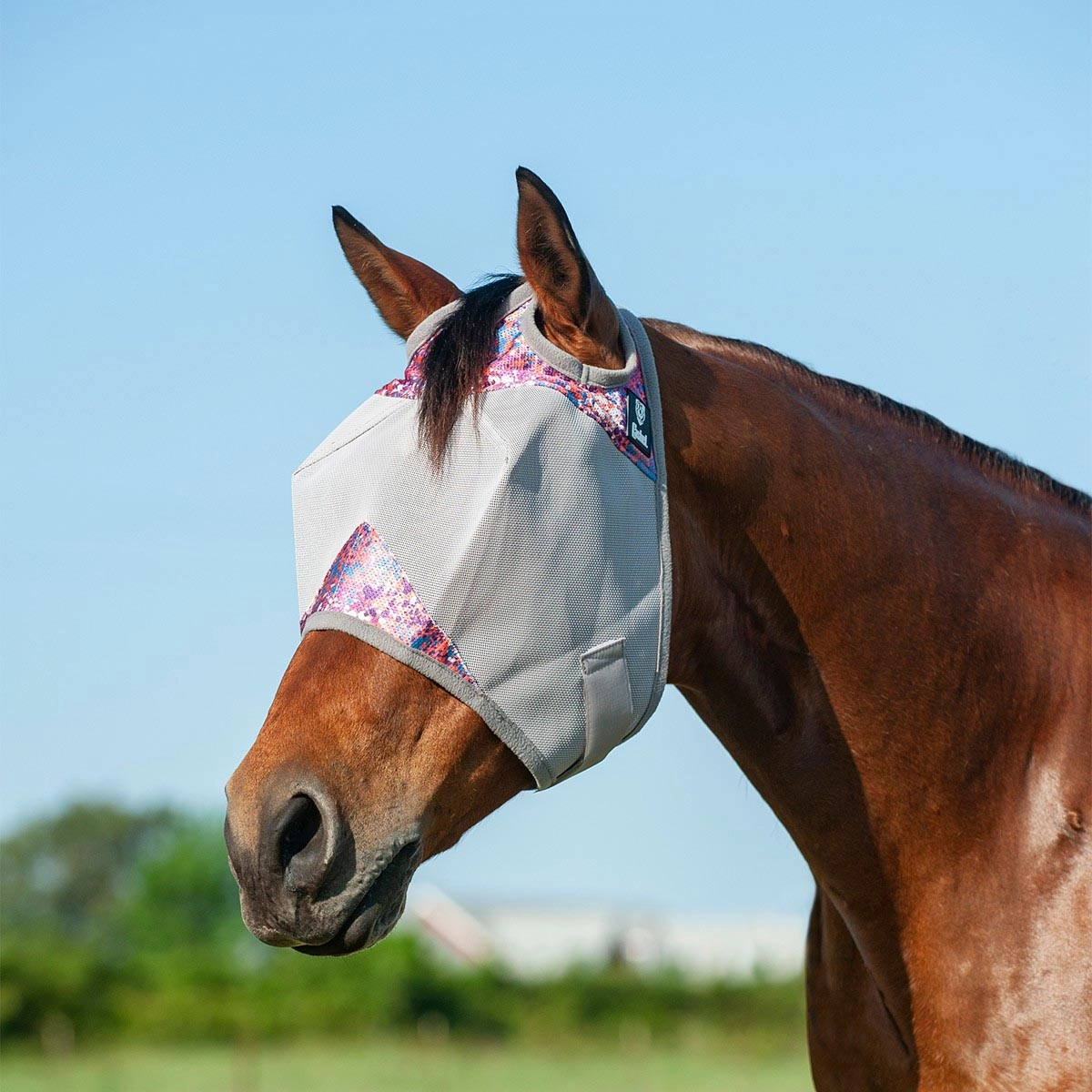 Crusader Fly Mask