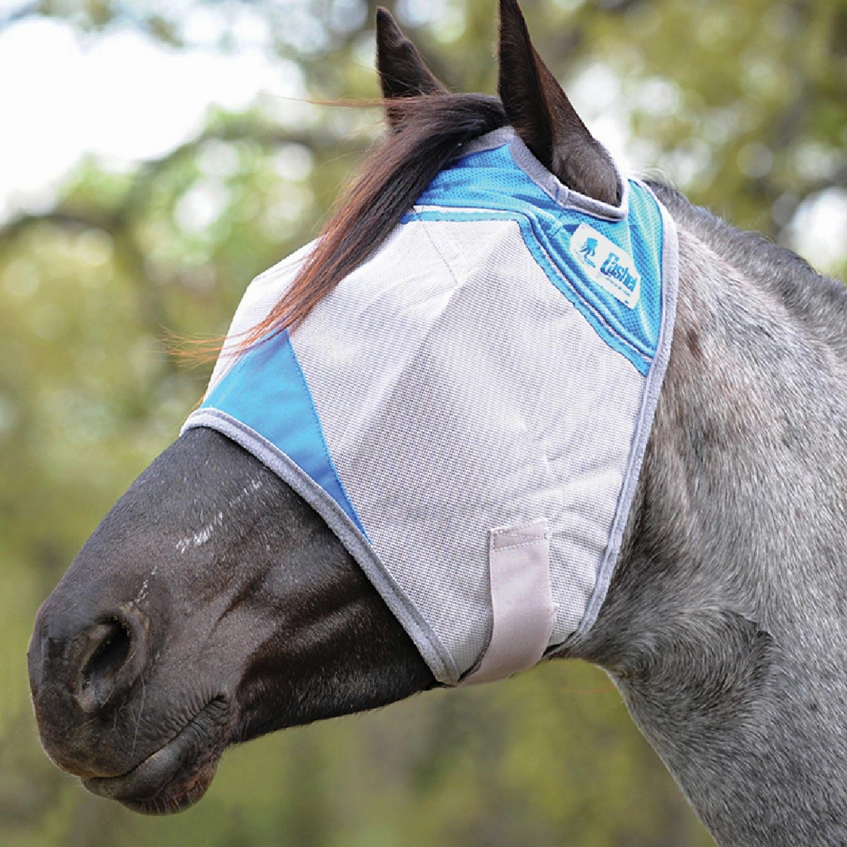 Crusader Fly Mask