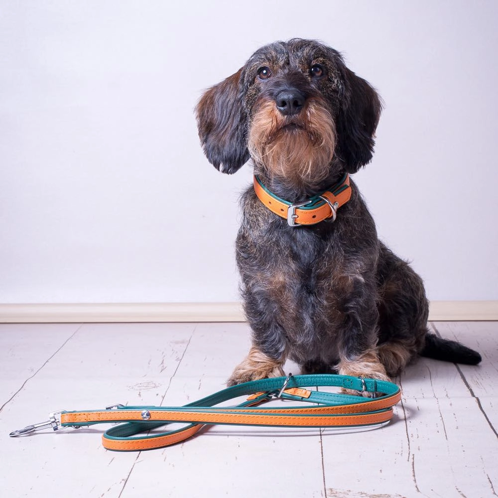 Das Lederband Firenze Leather Dog Collar (Orange/Forest)