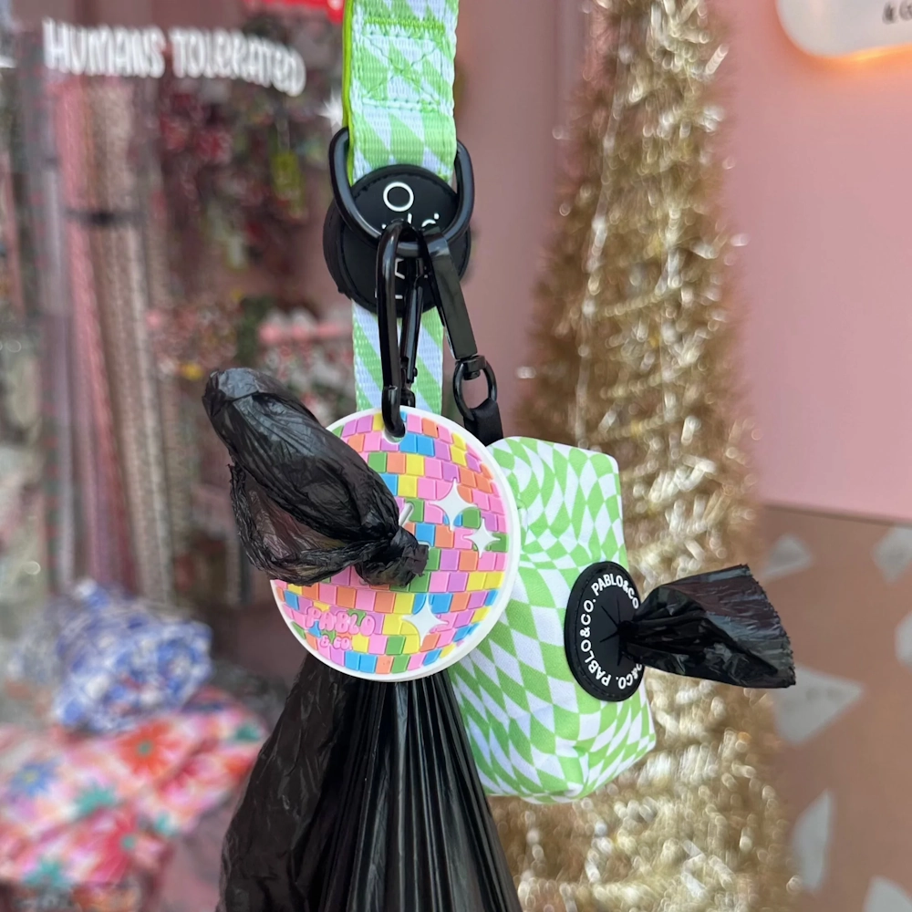 Disco Ball: Doo Doo Holder