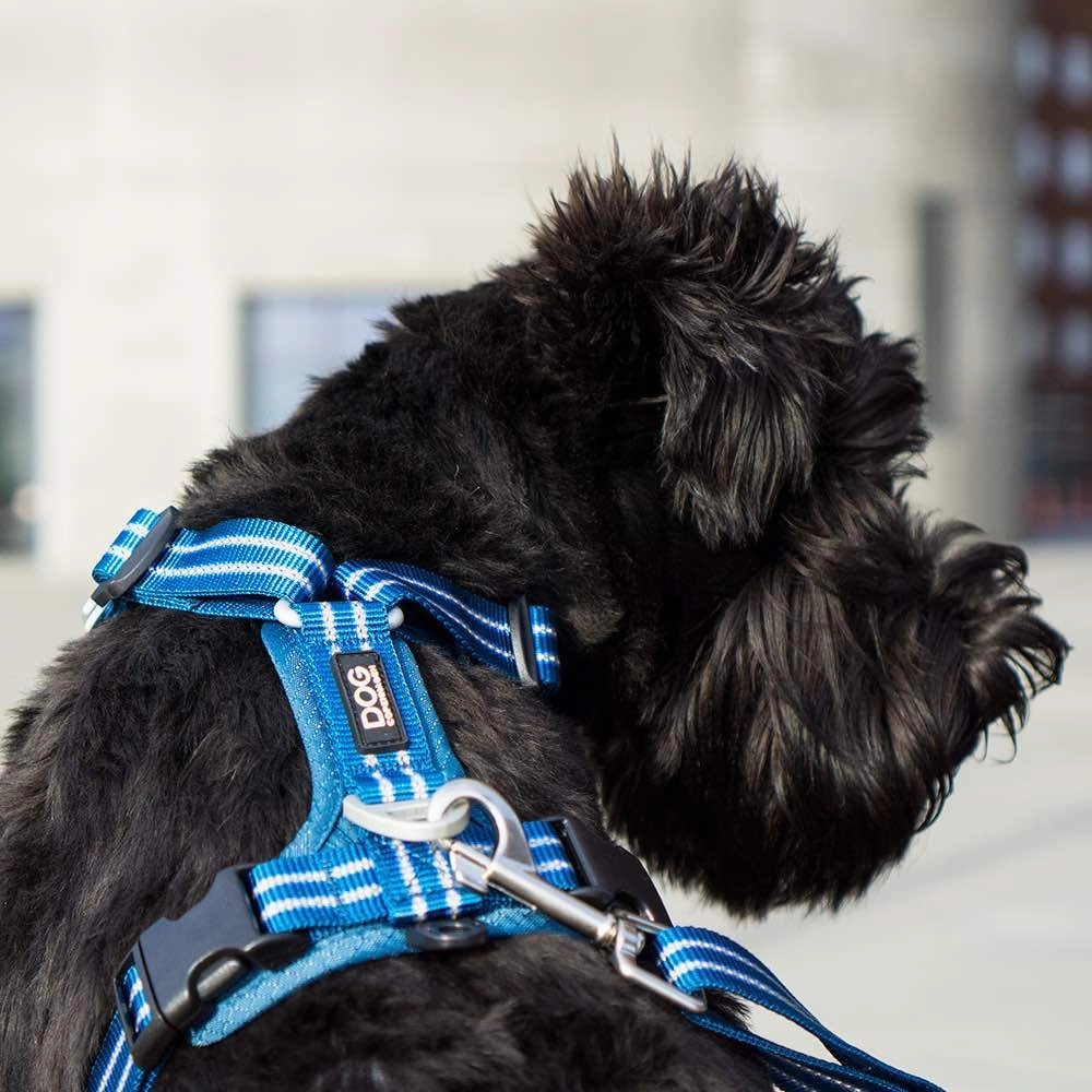 DOG Copenhagen Comfort Walk Air Dog Harness (Ocean Blue)