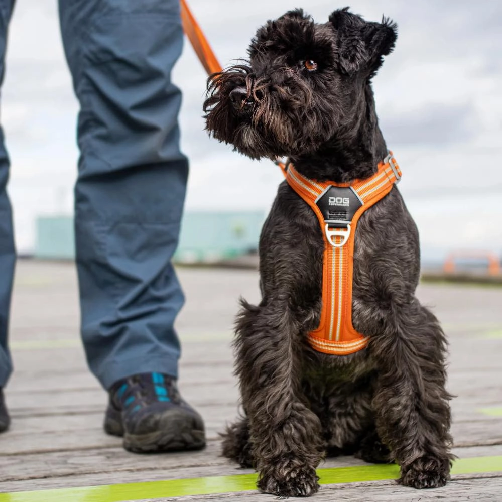 DOG Copenhagen Comfort Walk Air Dog Harness (Orange Sun)