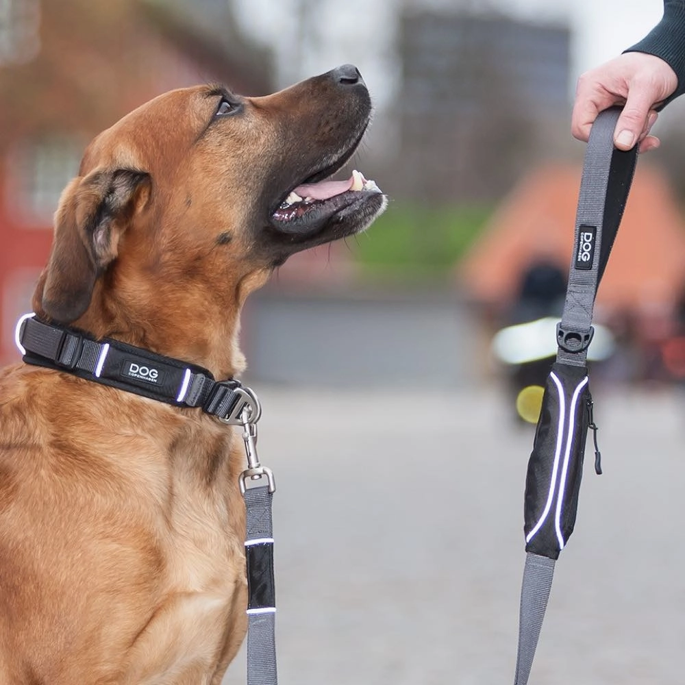 DOG Copenhagen Urban Explorer Dog Collar (Black)