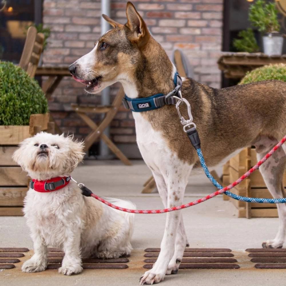 DOG Copenhagen Urban Explorer Dog Collar (Mocca)