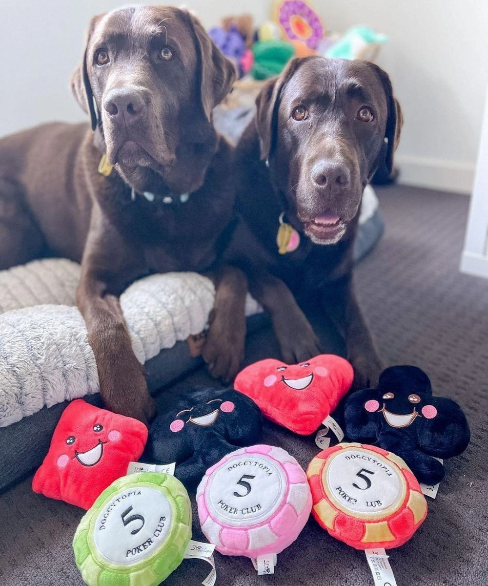 DoggyTopia Poker Club - Club Dog Toy