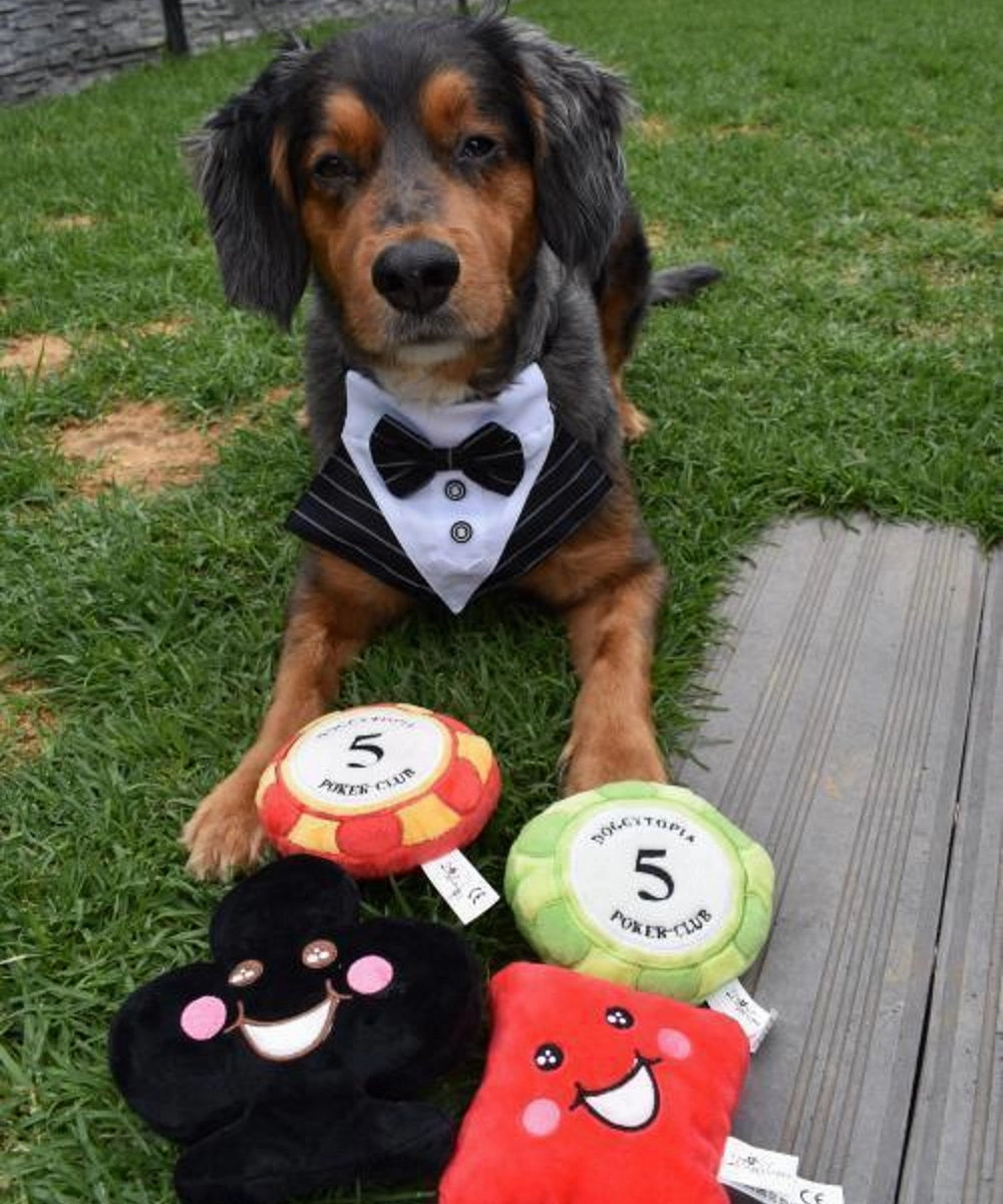DoggyTopia Poker Club - Club Dog Toy