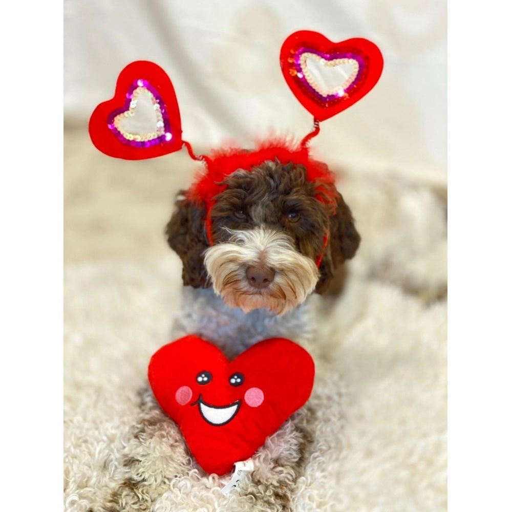 DoggyTopia Poker Club - Heart Dog Toy