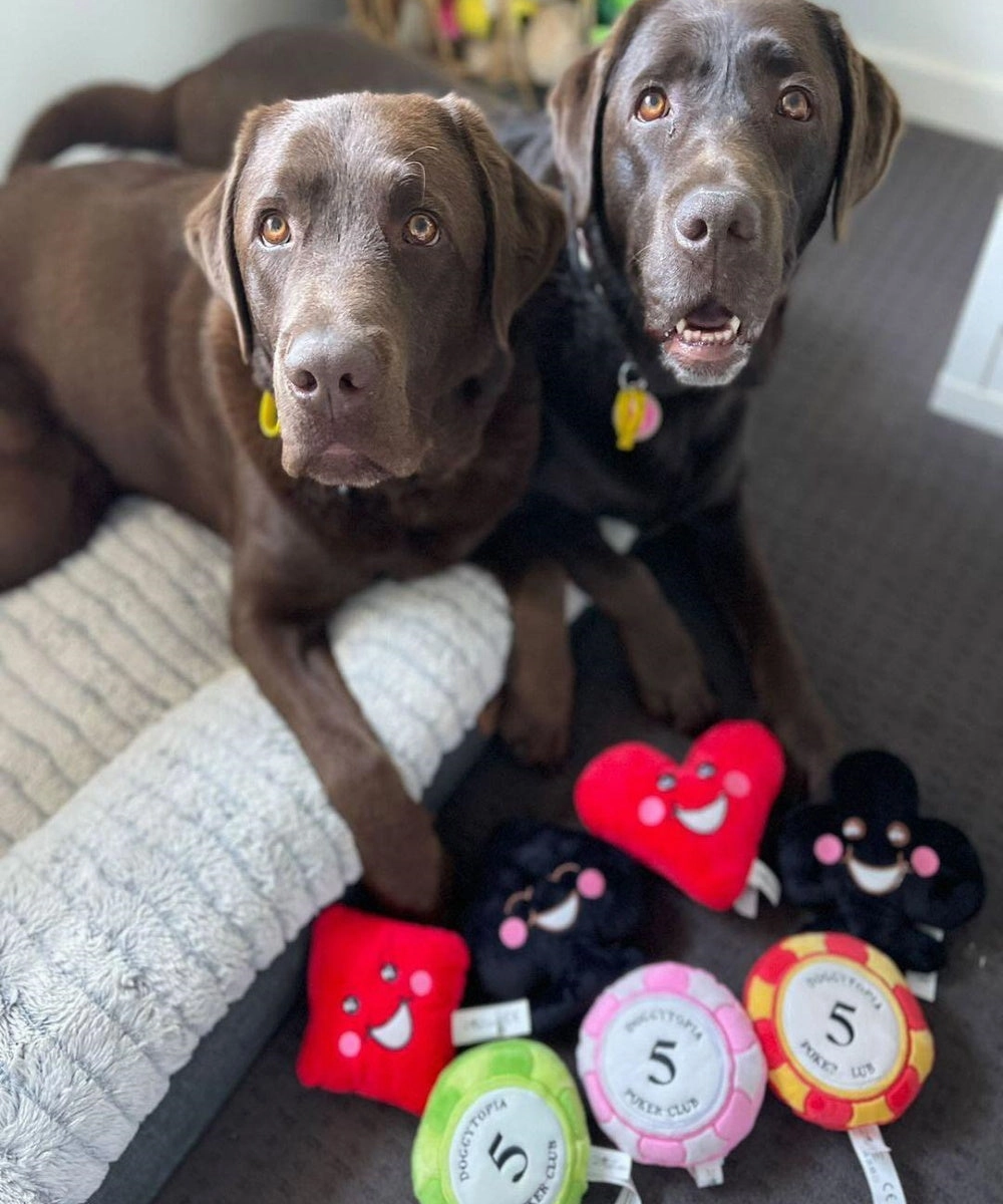 DoggyTopia Poker Club - Heart Dog Toy