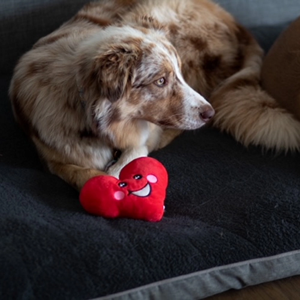 DoggyTopia Poker Club - Heart Dog Toy