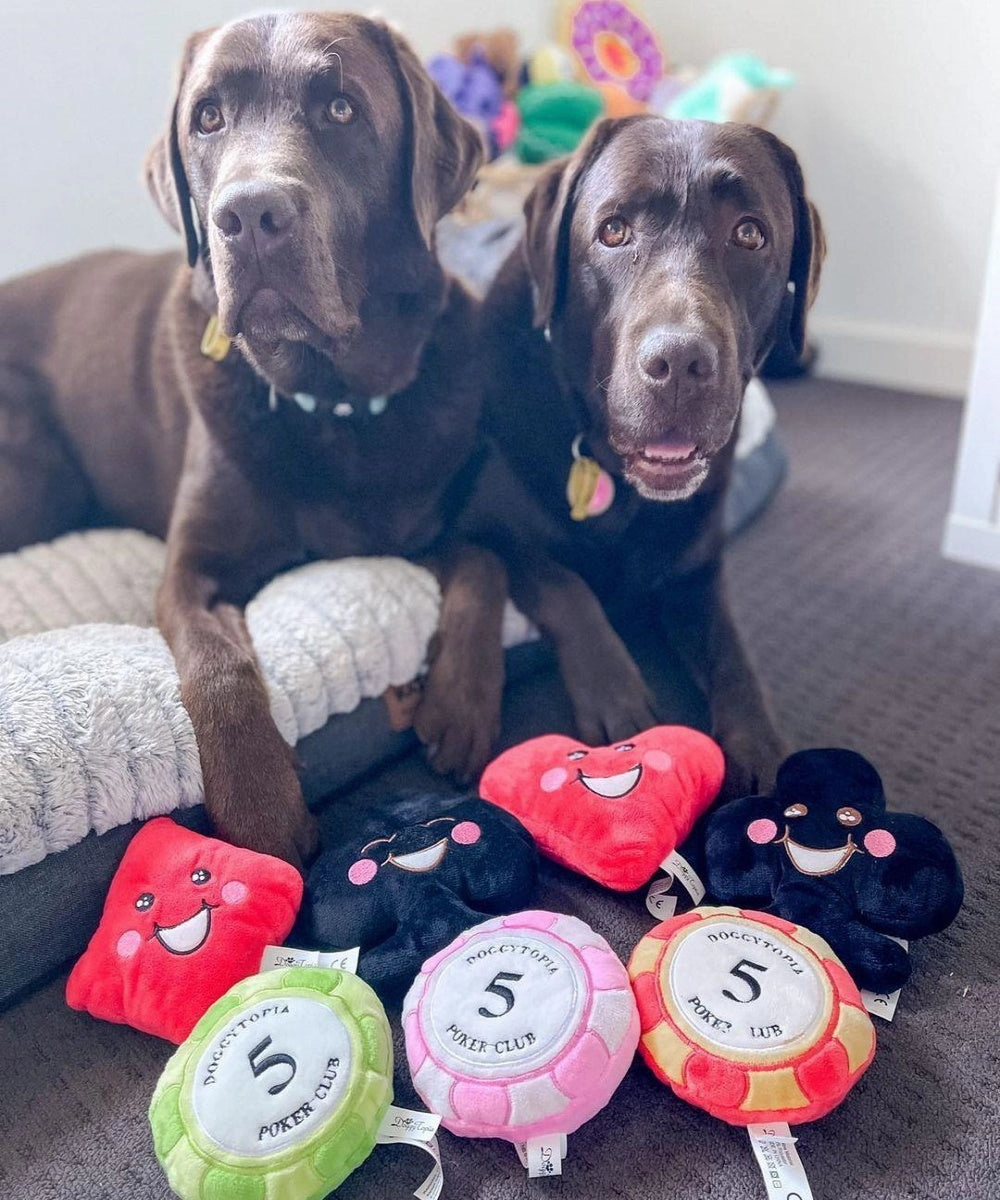 DoggyTopia Poker Club - Poker Chips Dog Toy Green