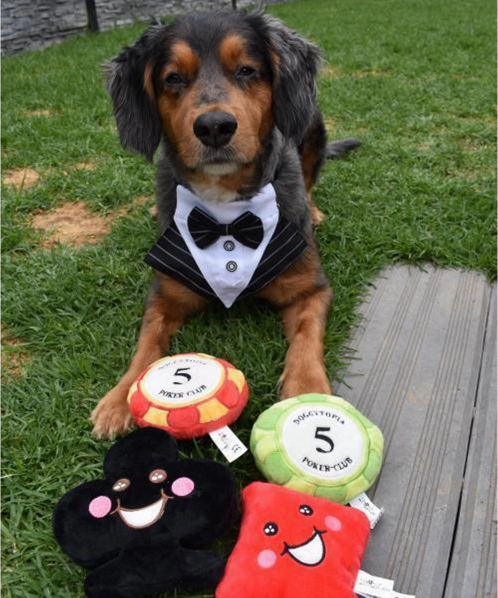 DoggyTopia Poker Club - Poker Chips Dog Toy Green