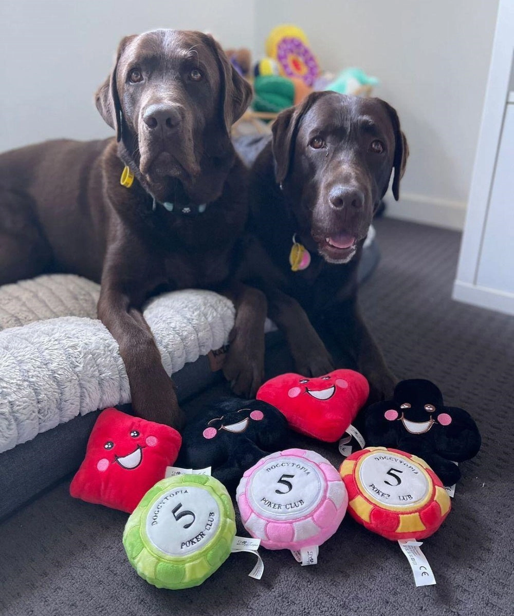DoggyTopia Poker Club - Poker Chips Dog Toy Pink