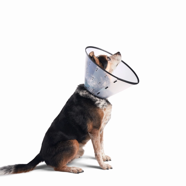 Dogswell Remedy & Recovery Rigid E-Collar - Clear