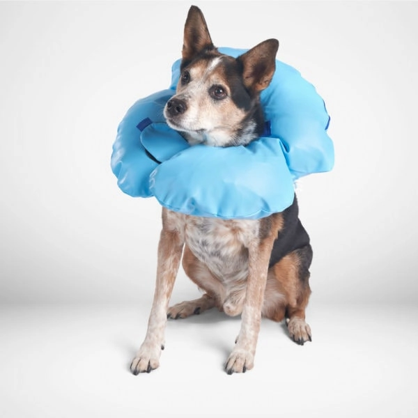 Dogswell Remedy & Recovery Stay-Rite E-Collar