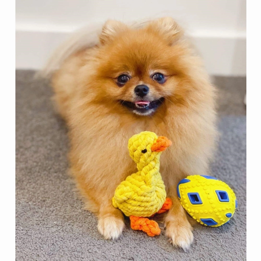 Duck Rope Dog Toy