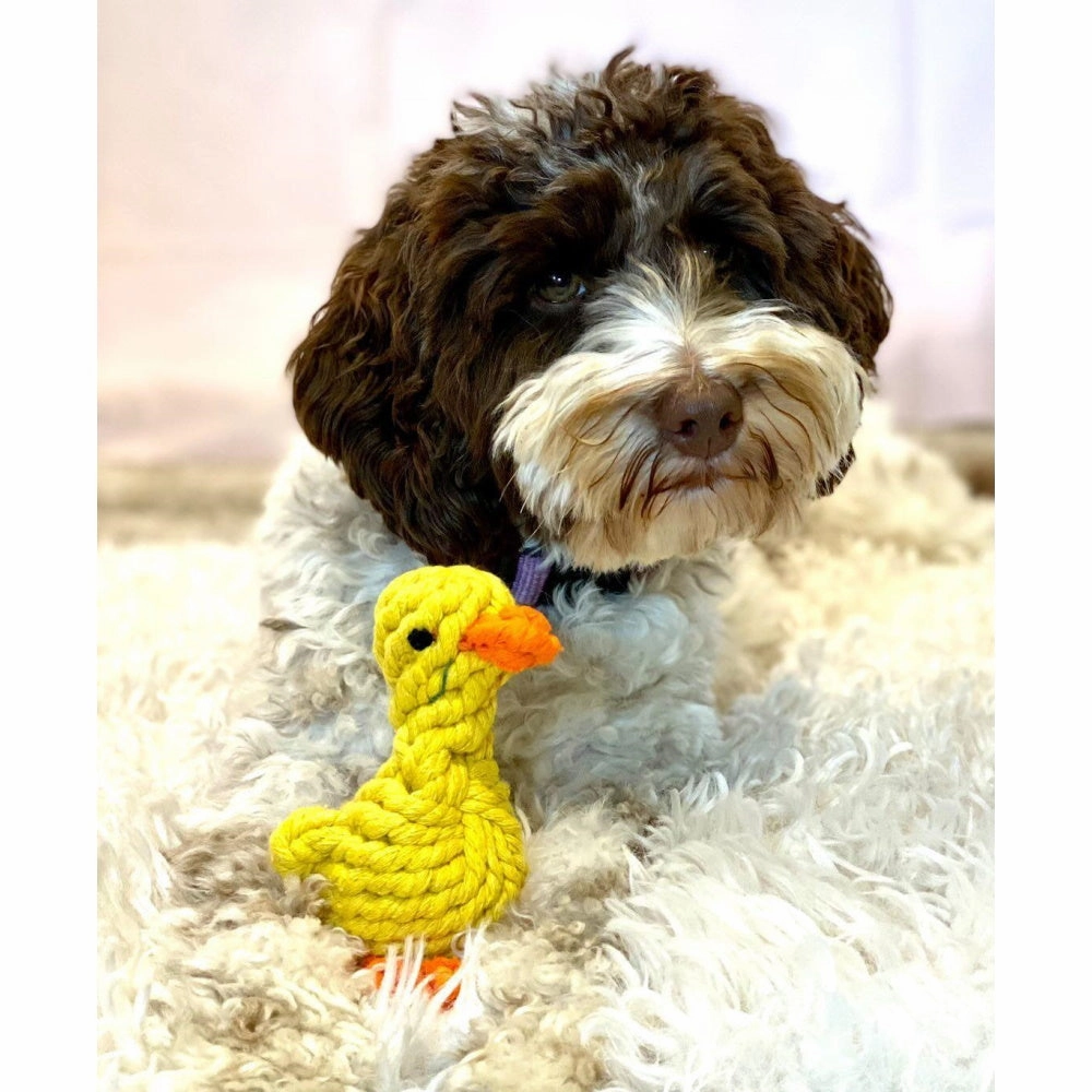 Duck Rope Dog Toy