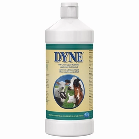 Dyne High Calorie Liquid Nutritional Supplement for Livestock