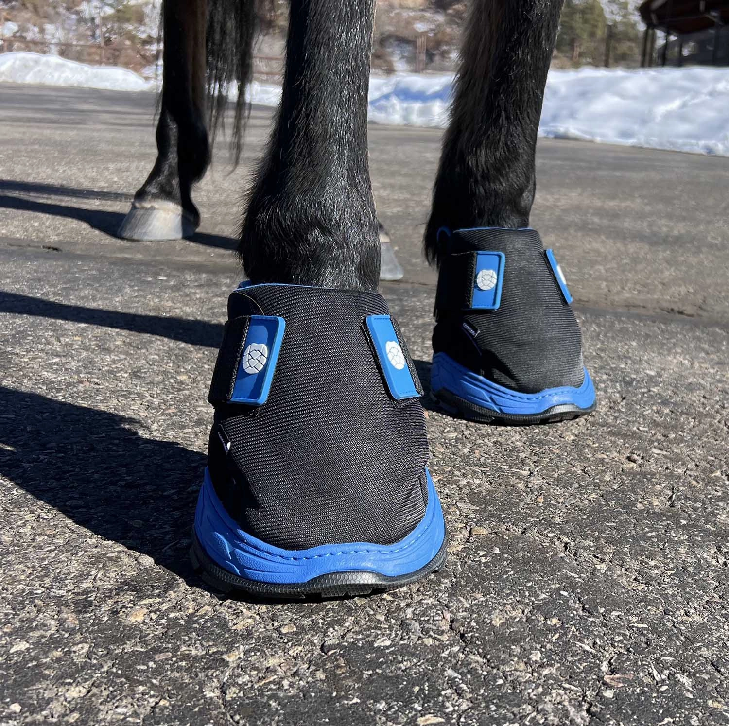 Easyboot Rx2 Therapy Horse Hoof Boot, Single