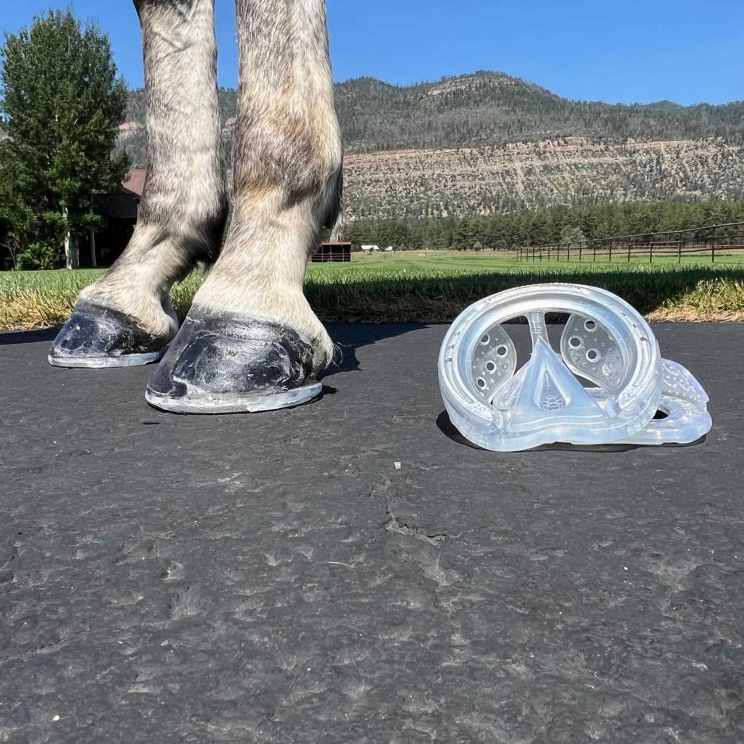 EasyShoe Race Horse Boot, Pair