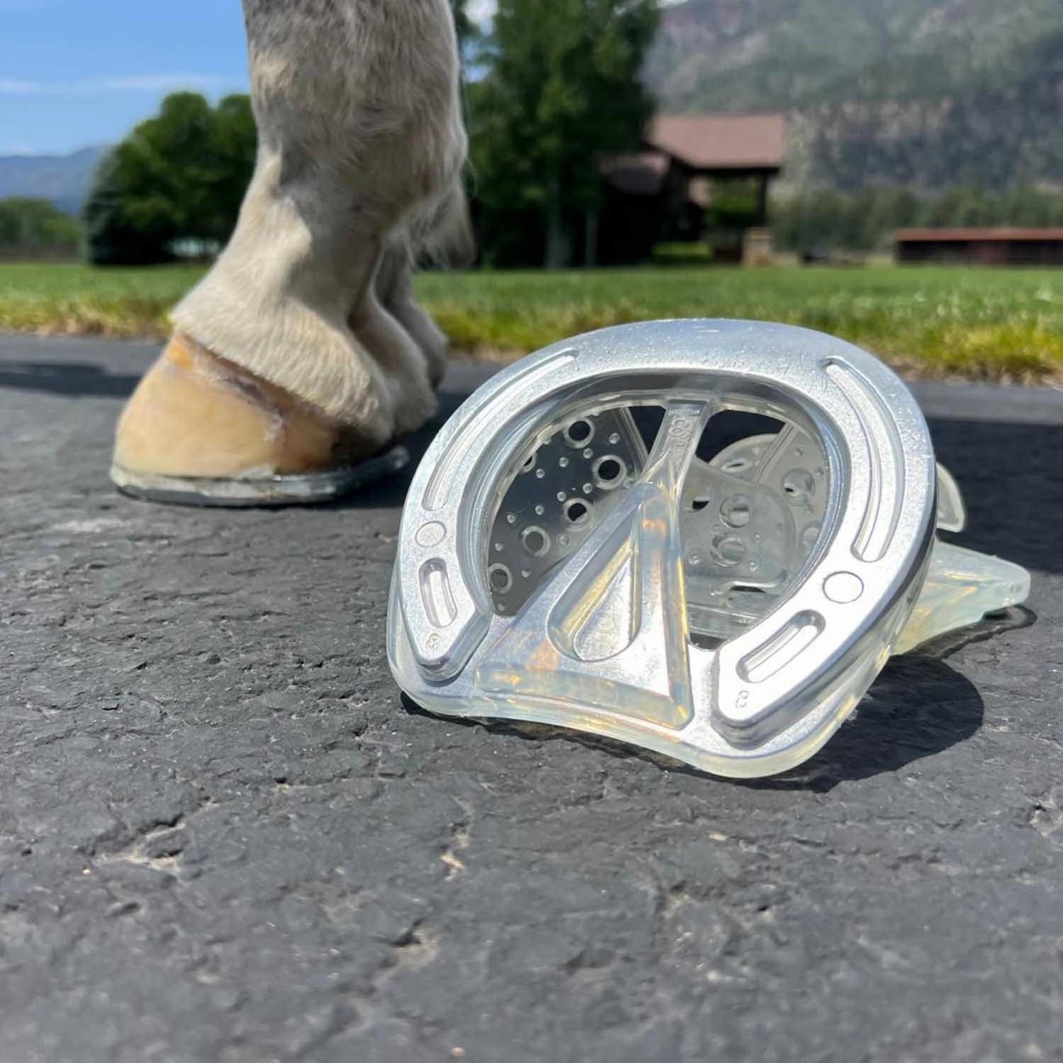 EasyShoe Roller Horse Boot, Pair