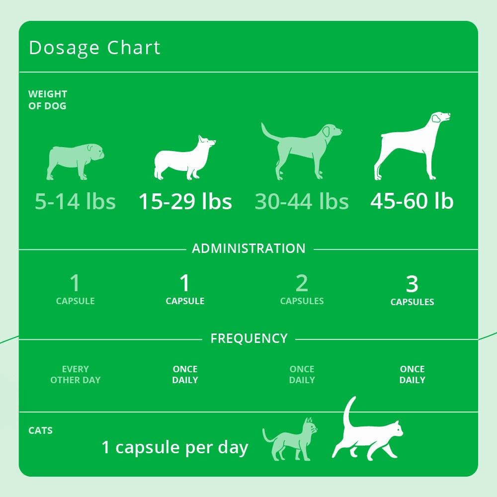 Eicosa3FF SnipCaps Omega 3 Capsules for Dogs & Cats